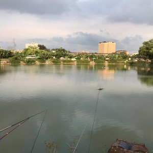 丰彩钓鱼场天气预报