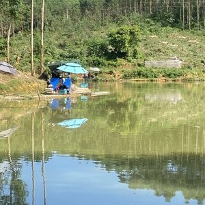 陈村石湖钓鱼场