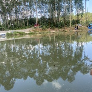 陈村石湖钓鱼场