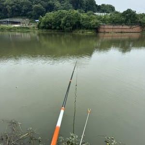 冷水滩河西十里江湾野钓场