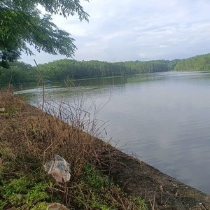 马安水库天气预报