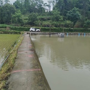 拖排龙腾垂钓园