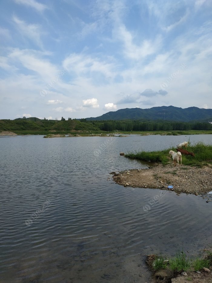 昭平台水库钓鱼图片
