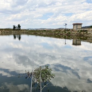 大河海生态垂钓园