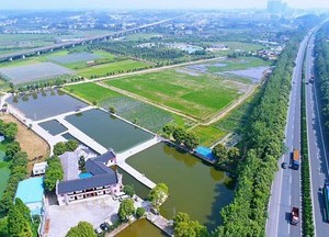 湖南林放国际农业博览园天气预报