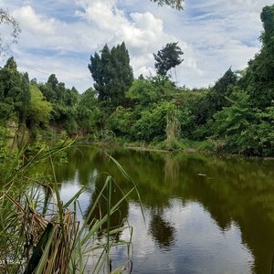 永德水库