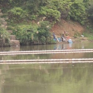 大汾原生态钓场