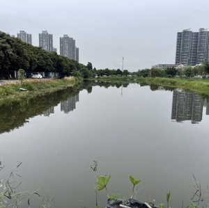 飞杨野钓场天气预报