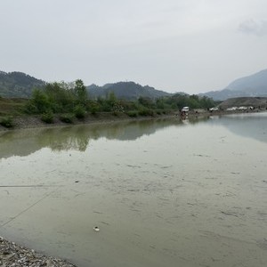 吴林峰钓场天气预报