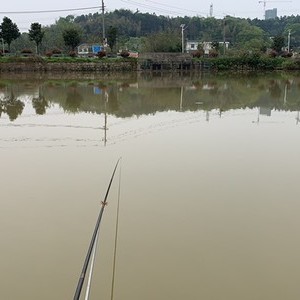 莫家坝渔场