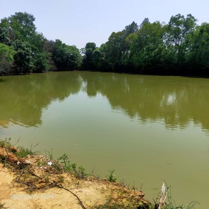 福荣钓场天气预报