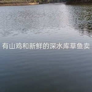 江西省宜春市洪塘镇台洲村江西口水库