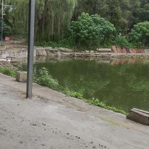 百川生态垂钓园