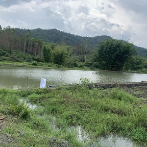 梅洞同乐钓鱼场天气预报