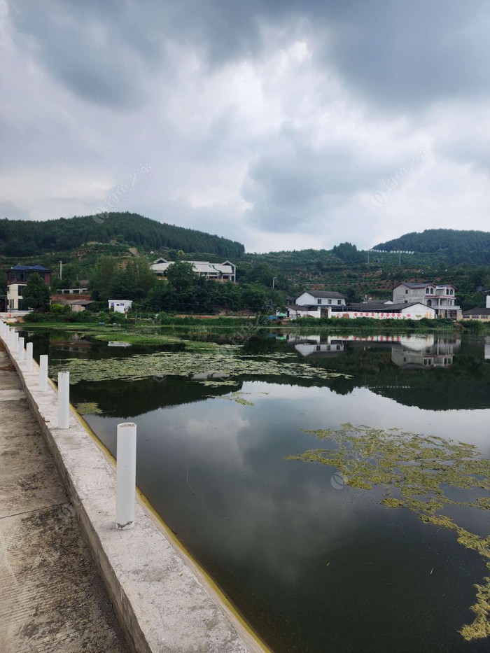 大林湾江湖钓场