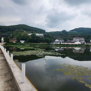 大林湾江湖钓场