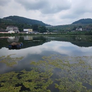 大林湾江湖钓场