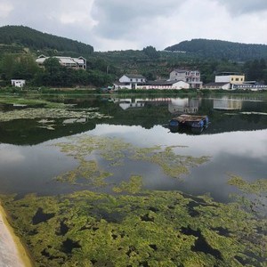 大林湾江湖钓场