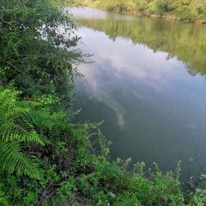 以口夸—大闸坝渔场