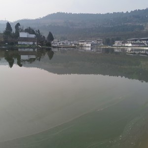 苍阆湖家庭农场天气预报