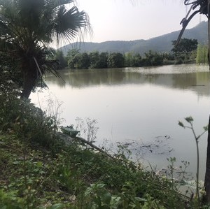 鸦舟水库