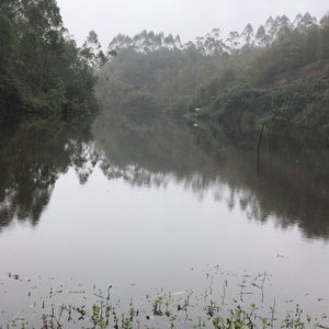 牛王沟水库