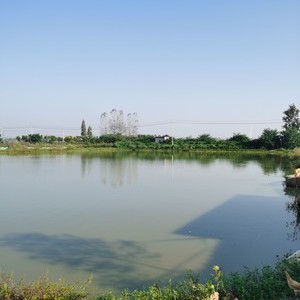 淮河生态园