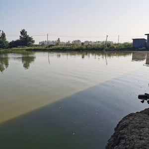 淮河生态园