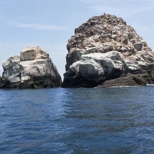 测风塔 大青针 海钓天气预报