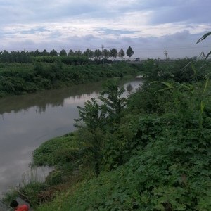 小清河