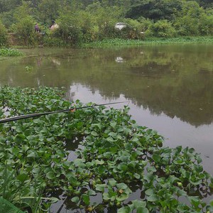 野钓爱好