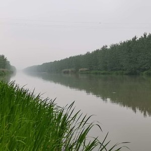 西塘河（航道河）天气预报