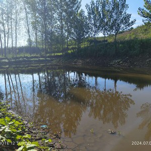 王沟水库