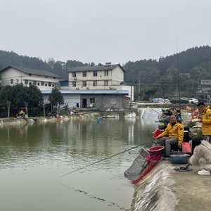 跃龙门垂钓园