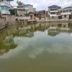 田心钓场天气预报