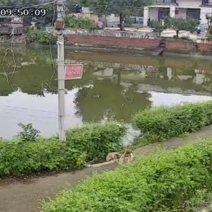 陈家纯清水塘天气预报