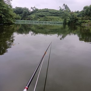 刘二娃鱼塘天气预报