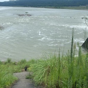 青龙场大桥天气预报