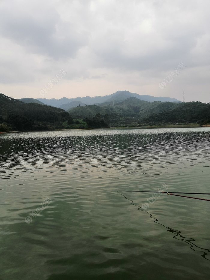 广州龙洞水库钓鱼图片