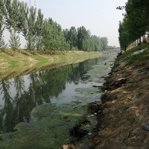 黄庄河
