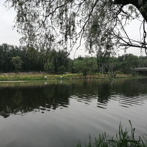 温榆河未来科学城段