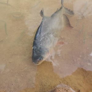 三溪水水库