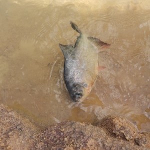 三溪水水库