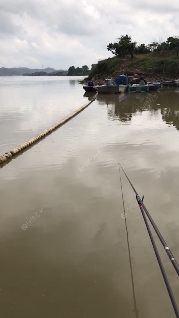 潼湖钓鱼图片