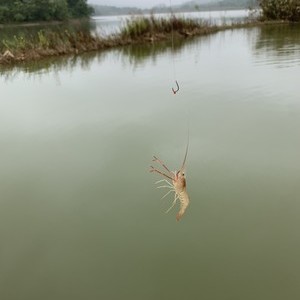 戎桥水库