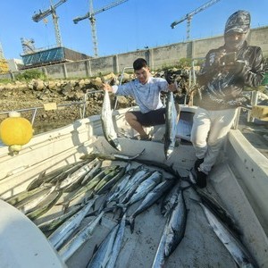 董家口海钓船钓