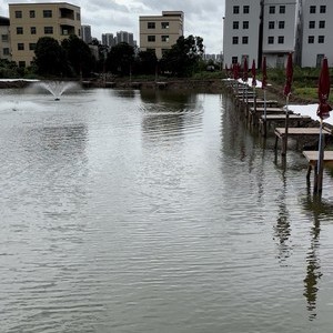 熊大钓场天气预报