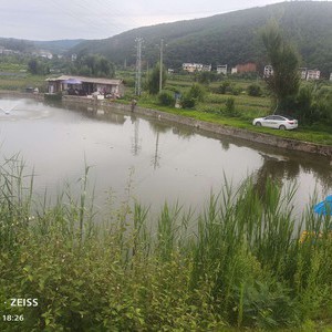 黄家村钓场