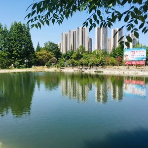 渔我同行休闲垂钓园