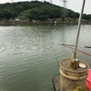 松山湖彩虹钓鱼场